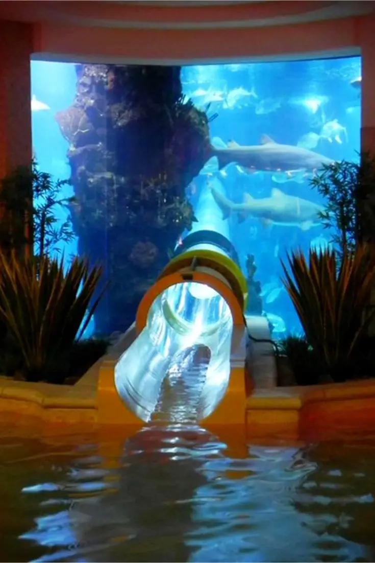 Cools Pools - coolest swimming pools in the world!