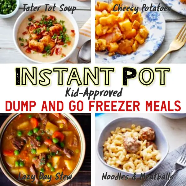 Easy Instant Pot Dump Recipes! These busy day dinner recipes go from freezer to Instant Pot to table in 30 minutes or less - perfect for picky eaters too.  9 of the best Kid-Approved Instant Pot freezer meals - insanely good and easy dump and go Instant Pot recipes for simple make ahead dinner for YOUR crowd.  Need recipes for dinner TONIGHT?  Try these simple Instant Pot freezer meals and budget recipes.
