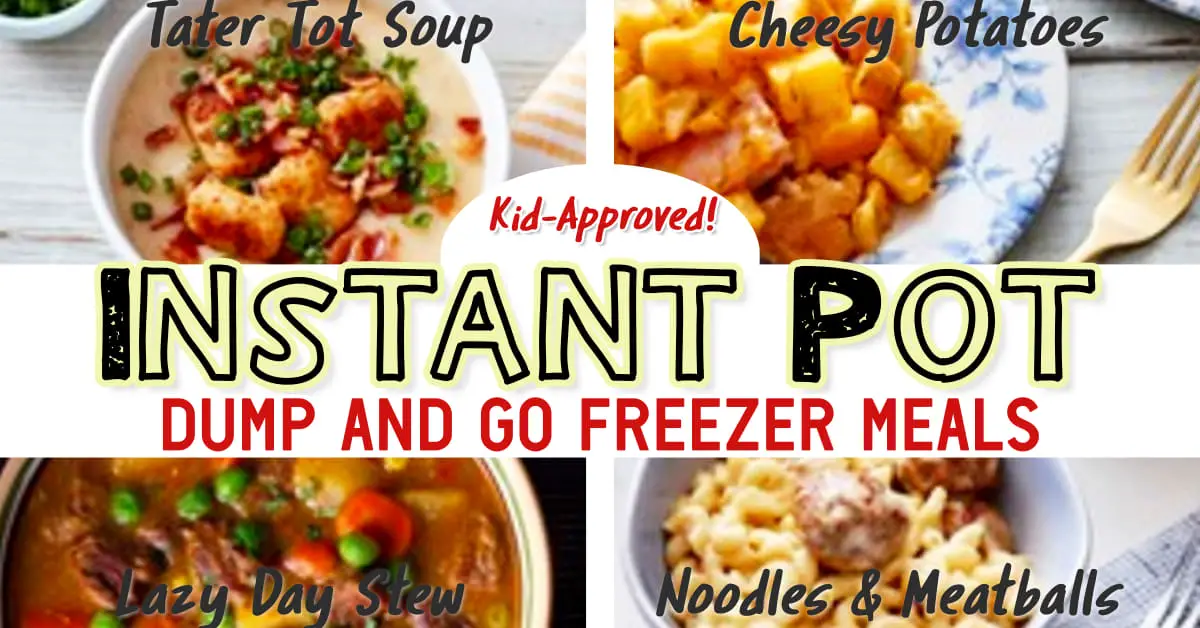 Easy Instant Pot Dump Dinners For Your Picky Crowd!  Love all these make ahead dinner recipes for dinner tonight!  Super simple Instant Pot freezer dump recipes and insanely good 20 minute instant pot recipes for busy day family dinner on a budget