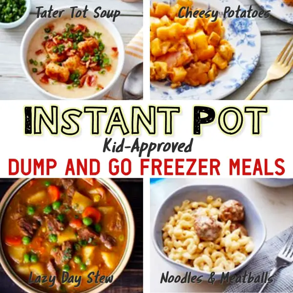 Easy Instant Pot Dump Recipes From Freezer to Instant Pot in 30