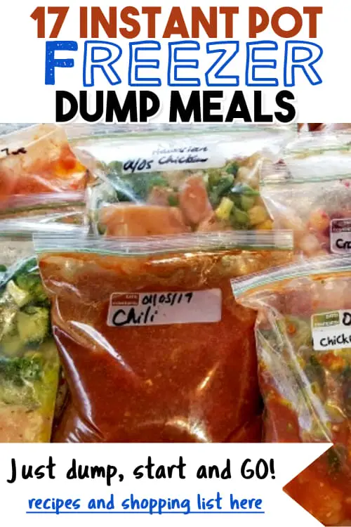 Easy peasy Instant Pot Freezer DUMP Recipes - from freezer to Instant Pot in 30 minutes or less!  Get these Instant Pot freezer meals with shopping list here for quick and easy make ahead BUSY day dinners tonight.