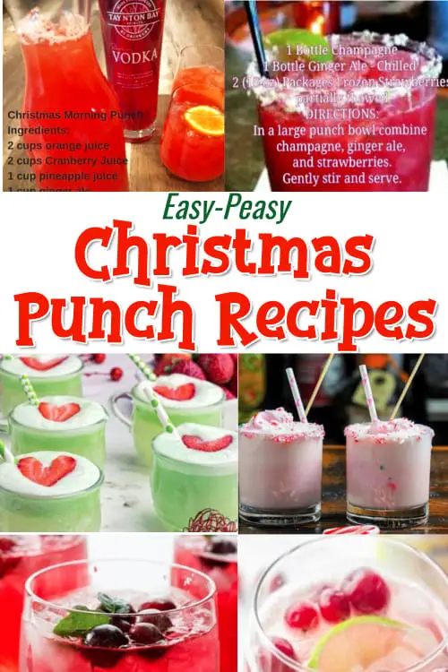 Christmas Punch Recipe Ideas - Easy peasy Christmas and Holiday punch recipes for Christmas morning, brunch, big batch punch recipes for a crowd. See Christmas themed spiked punch recipes and non-alcoholic too. Punch recipes include ingredients like vodka, ginger ale, sherbet, pineapple juice, raspberry, cranberry and more. Skip the traditional boring Christmas party punches at your winter party and try these unique twists on holiday drinks.