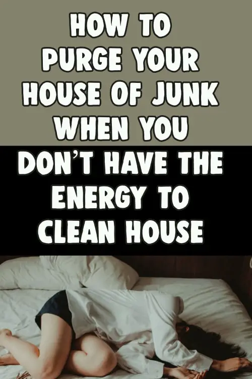 How To Purge Your House Of Junk When You Don t Have The 