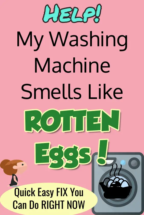 Washing Machine Smells Like Rotten Eggs? Here's the Solution...