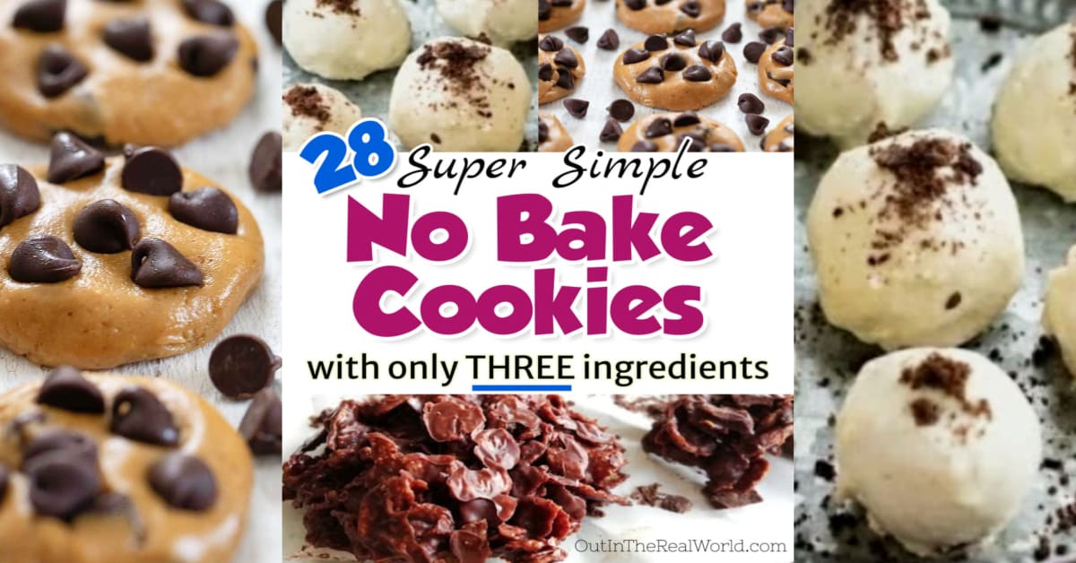 3 Ingredient Cookies - Best EASY no bake 3 ingredient cookie recipes