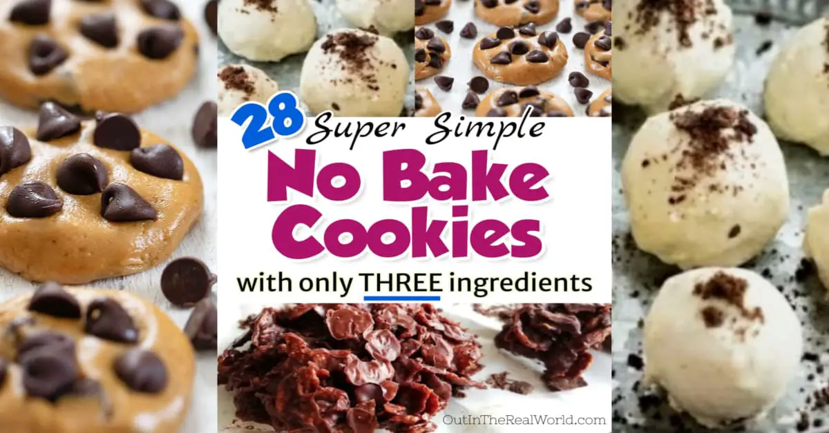 3 Ingredient NO BAKE Cookies-28 Easy Recipes & Variations