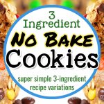 Super Simple 3 Ingredient NO BAKE Cookies-28 Easy Recipes & Variations To Make Right Now