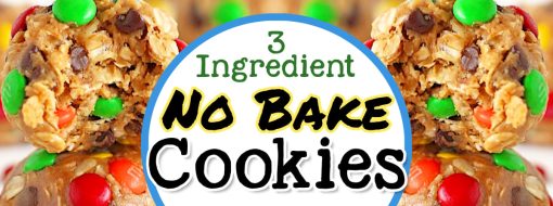 Super Simple 3 Ingredient NO BAKE Cookies-28 Easy Recipes & Variations To Make Right Now  -my favorite no bake cookie recipes with lots of ingredient variations to try...