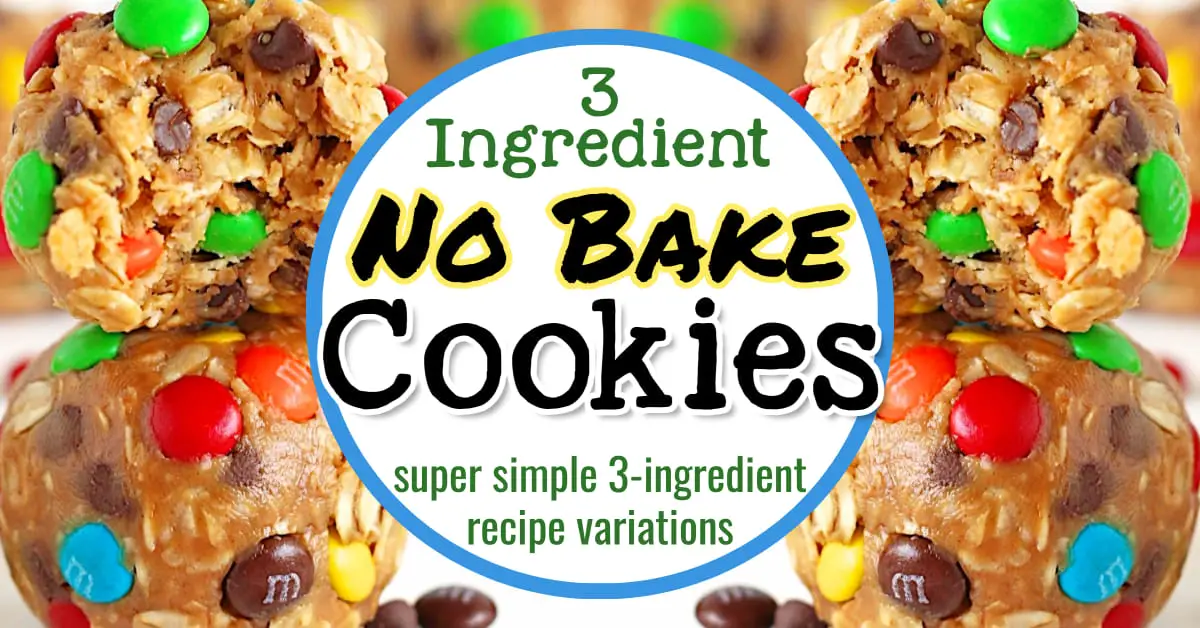 3-ingredient NO BAKE cookies - easy 3 ingredient no bake cookie recipe variations - without oatmeal, without peanut butter, healthy, keto, sugar free and more