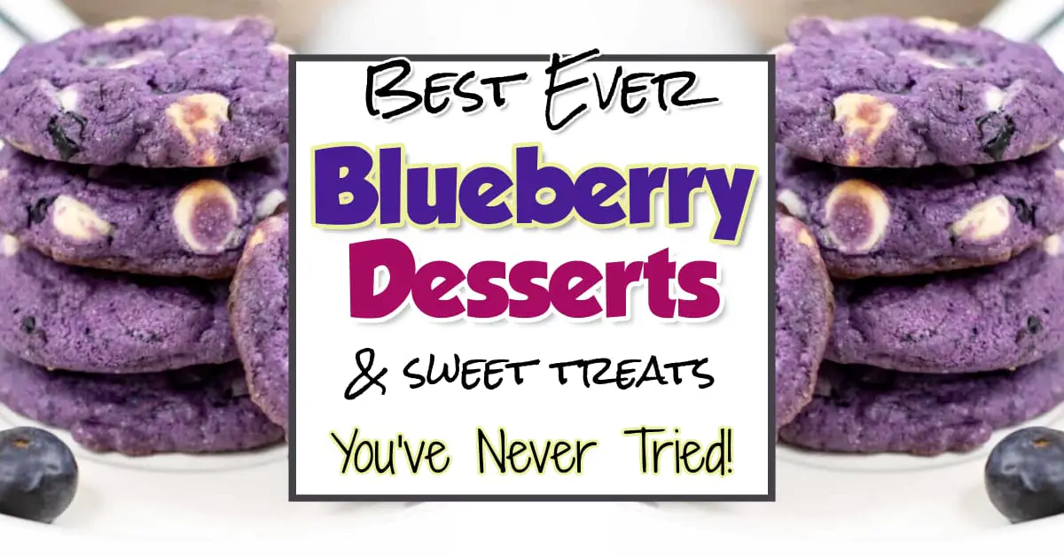 Blueberry dessert ideas - best blueberry desserts in the world.  Unique and easy dessert ideas for all those fresh blueberries - or frozen blueberries
