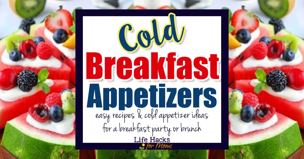 Cold Breakfast Appetizers - Easy cold appetizer ideas for a breakfast party, brunch potluck or buffet breakfast for a large group. Quick and simple cold appetizer ideas and recipes - healthy, low carb breakfast appetizers too for work, school, home or a shower when you need party finger foods on a budget.