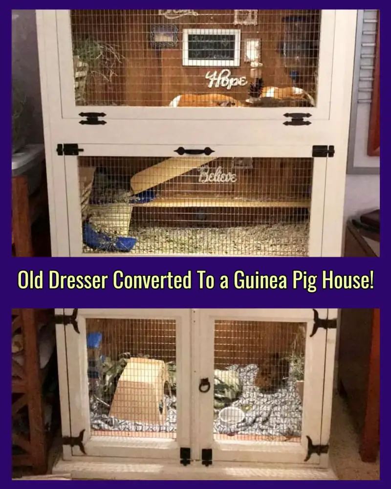 DIY Guinea Pig Cage Dresser - From - DIY Upcycled Furniture Ideas Before and After Pictures