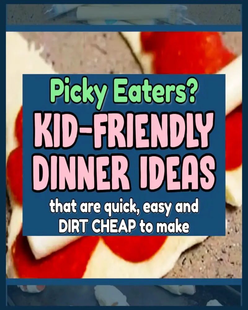 Easy Dinner Ideas For PICKY Eaters on a budget