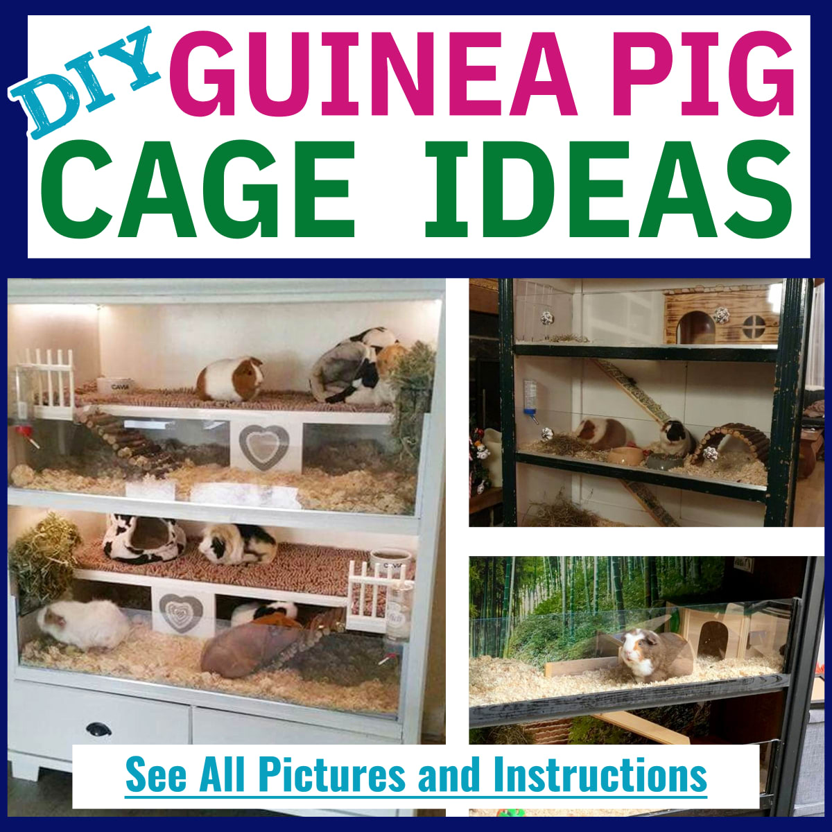 Guinea Pig Houses - Super Cute DIY Guinea Pig Cage Ideas