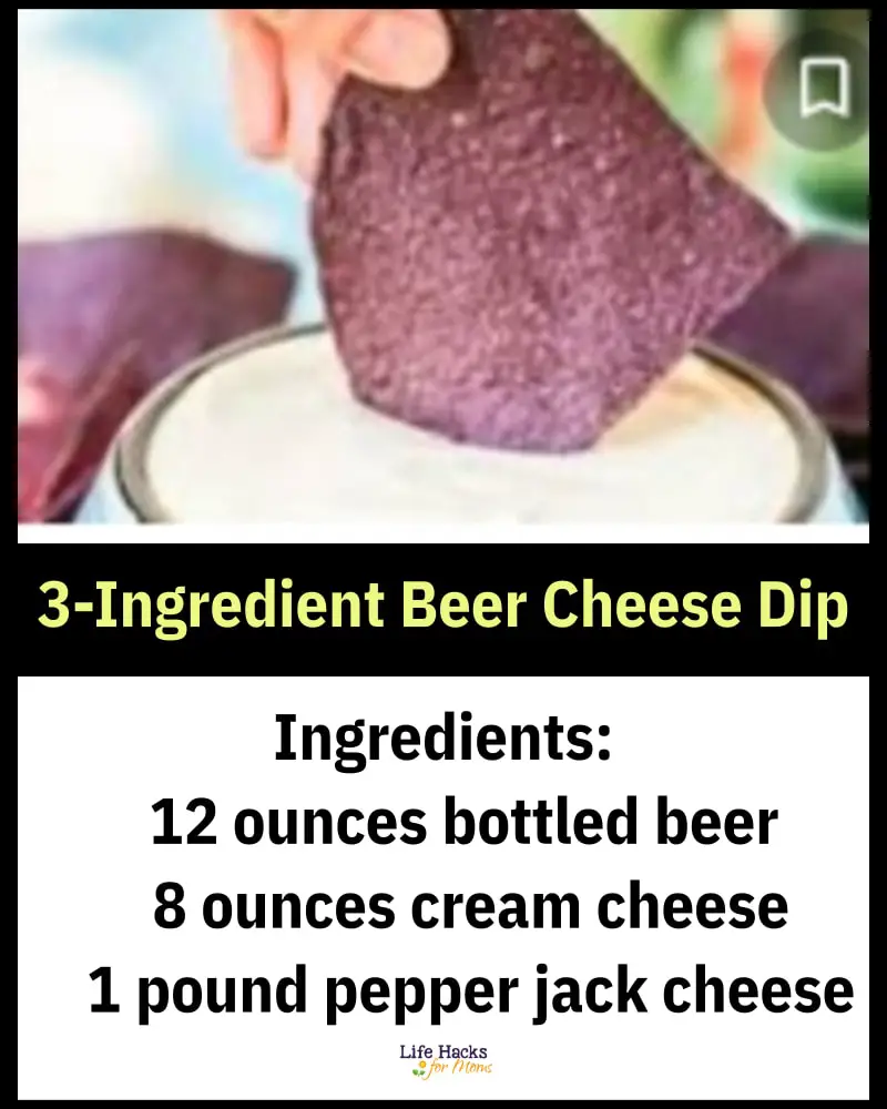 party food ideas - 3 ingredient beer cheese dip recipe