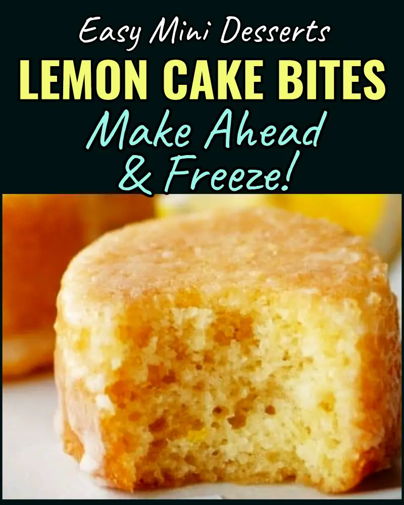 Mini Desserts That Freeze Well-Easy Make Ahead Freezable Sweets