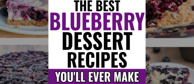 The Best Blueberry Dessert Recipes You’ll EVER Make (so EASY too!)  -these easy blueberry desserts are quick, easy, no bake and more...the best blueberry desserts in the WORLD (yes, I said it...)