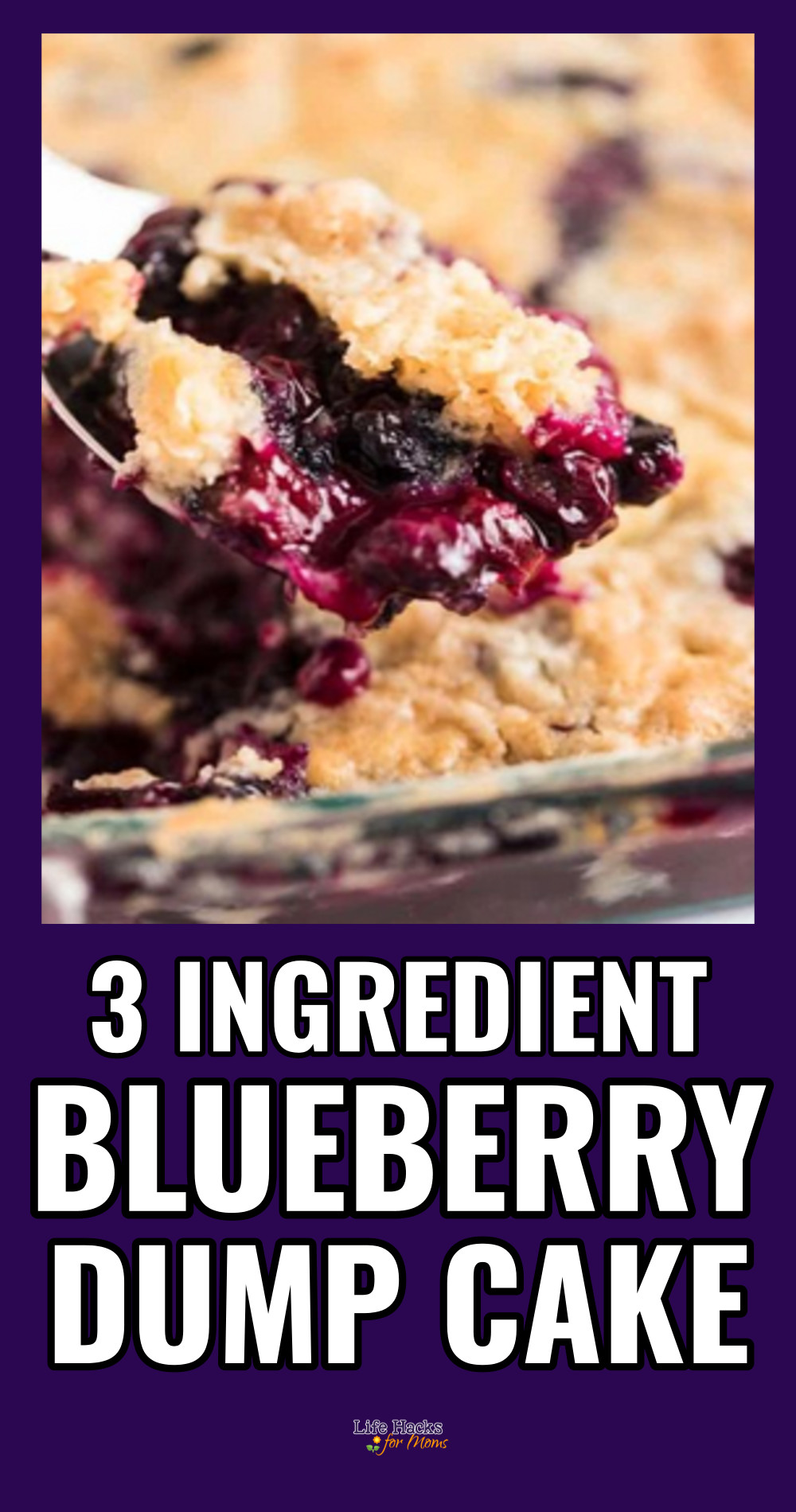 blueberry dump cake cobbler dessert recipe
