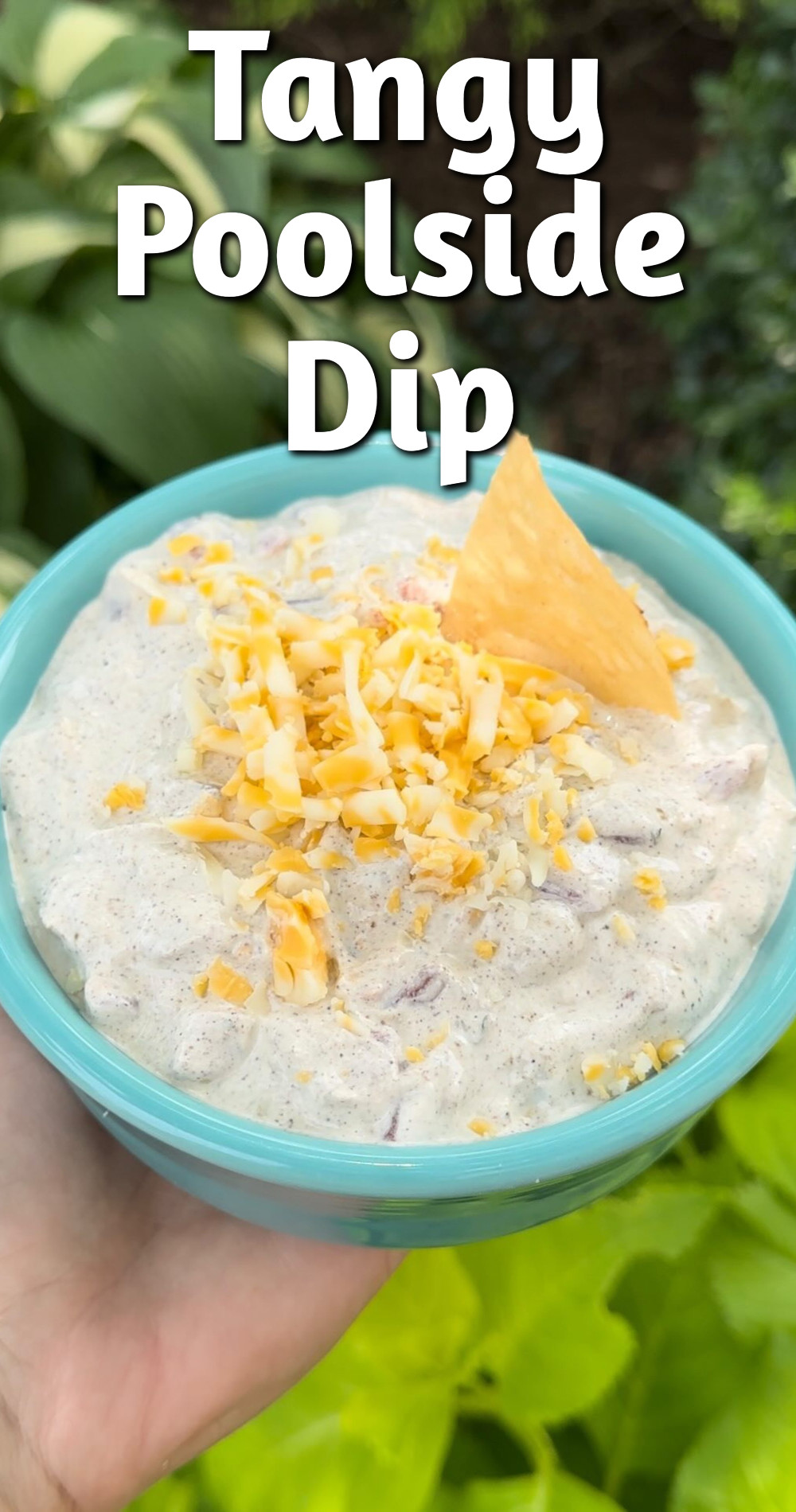 Tangy Poolside Dip