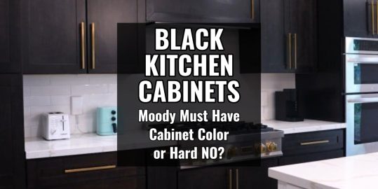 Black Kitchen Cabinets – Moody Must Have Cabinet Color or Hard NO Decor Trend?