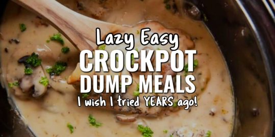 Lazy Easy Crockpot Dump Meals I Wish I Made YEARS Ago