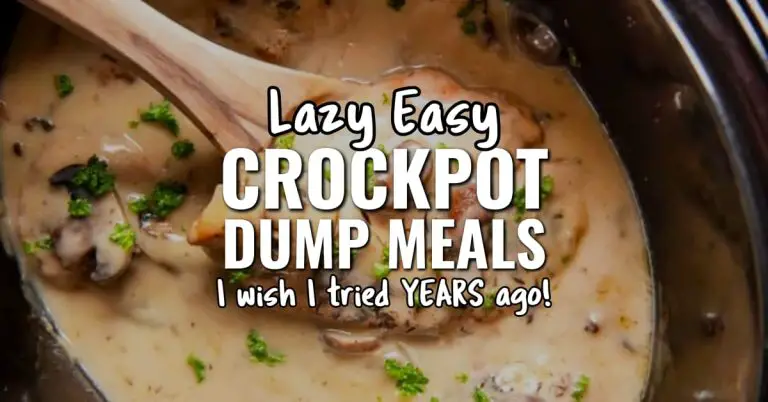 lazy easy crockpot dump meals I wish I tried years ago