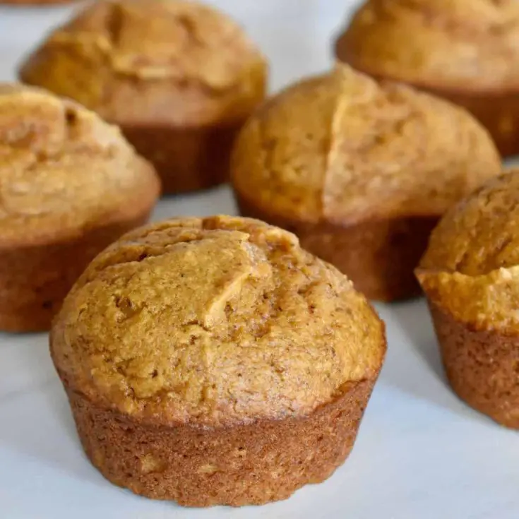 Image for Pumpkin Applesauce Muffins