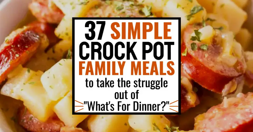 37 Simple Crock Pot Family Meals To Take The Struggle Out Of What's For ...