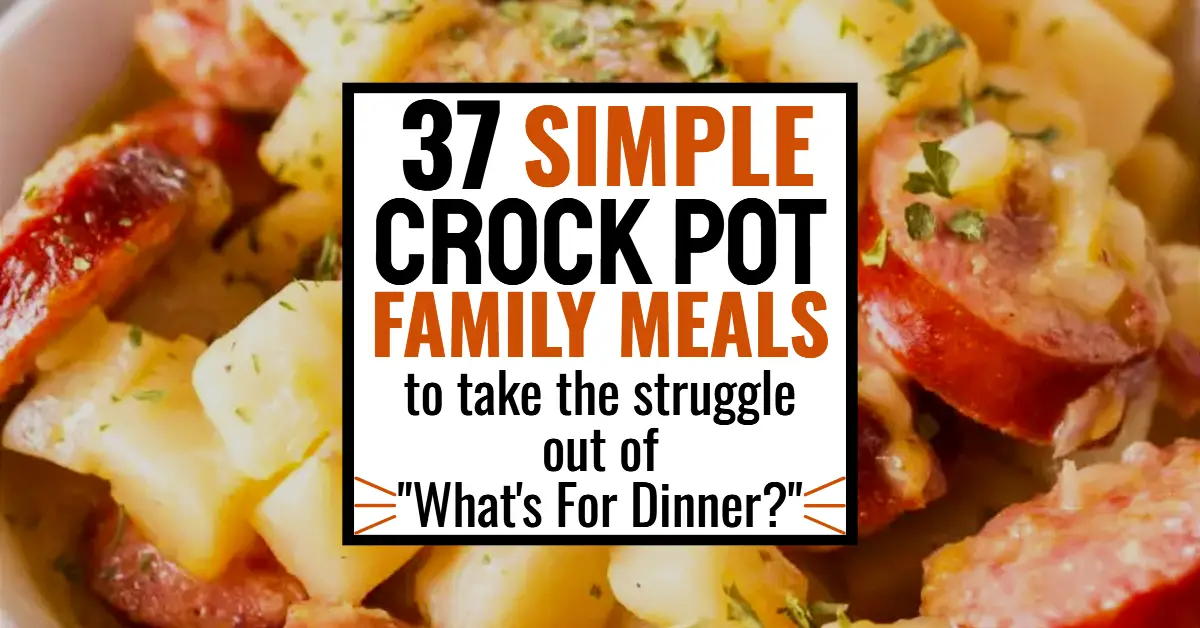 family crockpot dinners