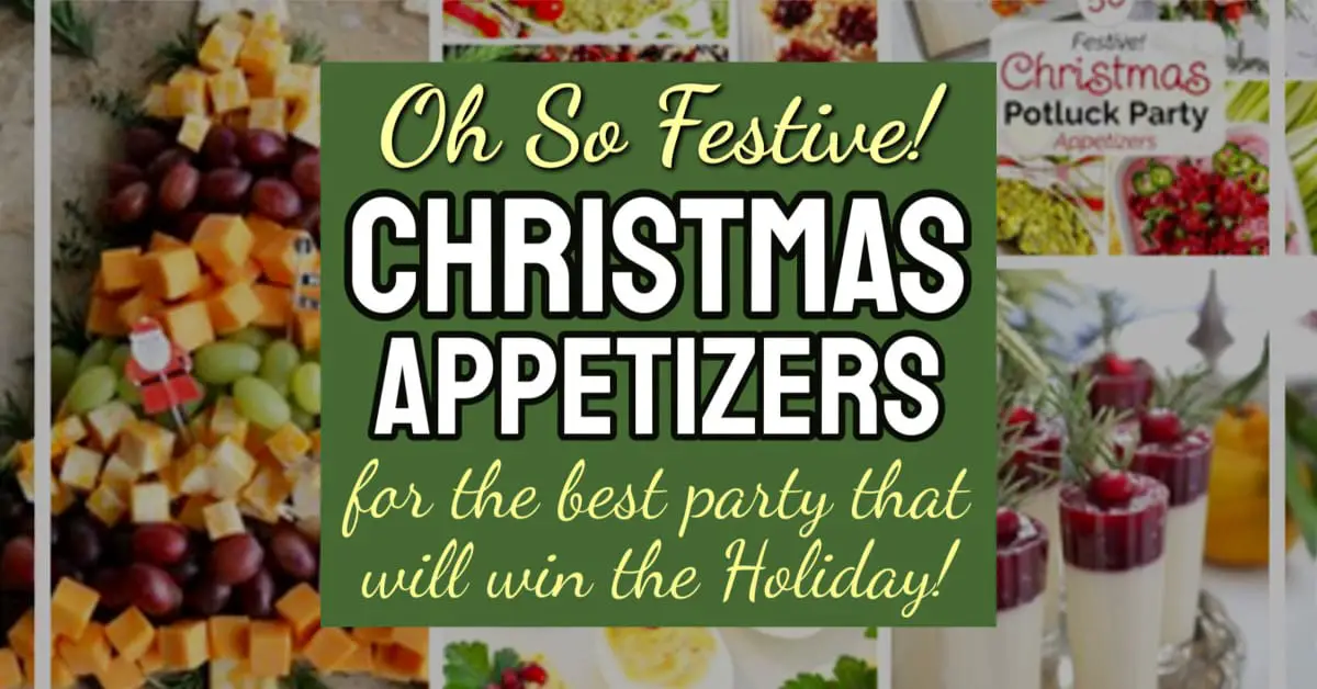 Oh SO Festive Christmas Appetizers For The Best Party That Will Win The Holiday