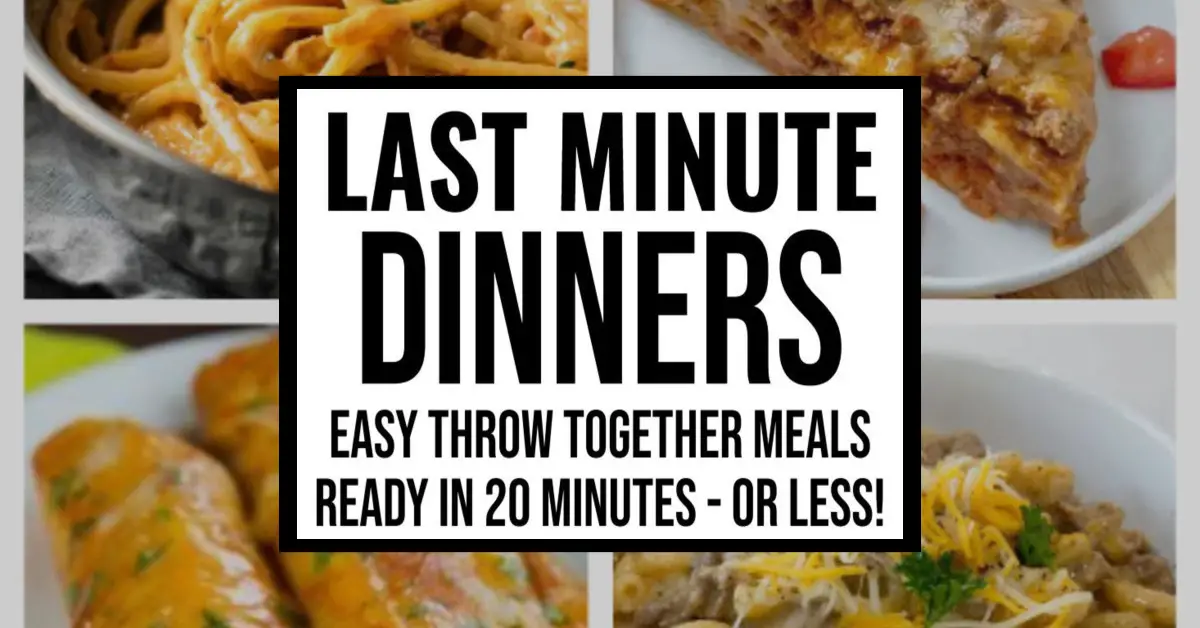 Easy Throw Together Meals For Quick After Work Dinners Ready In 20 Minutes (or less!)