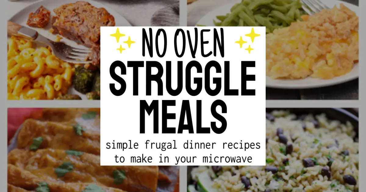 no oven struggle meals simple frugal dinner recipes to make in your microwave