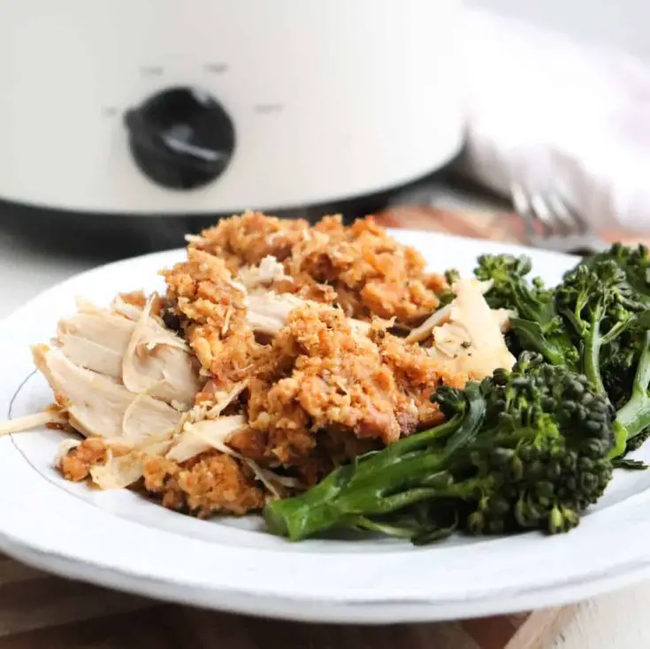 Image for Slow cooker chicken with stuffing
