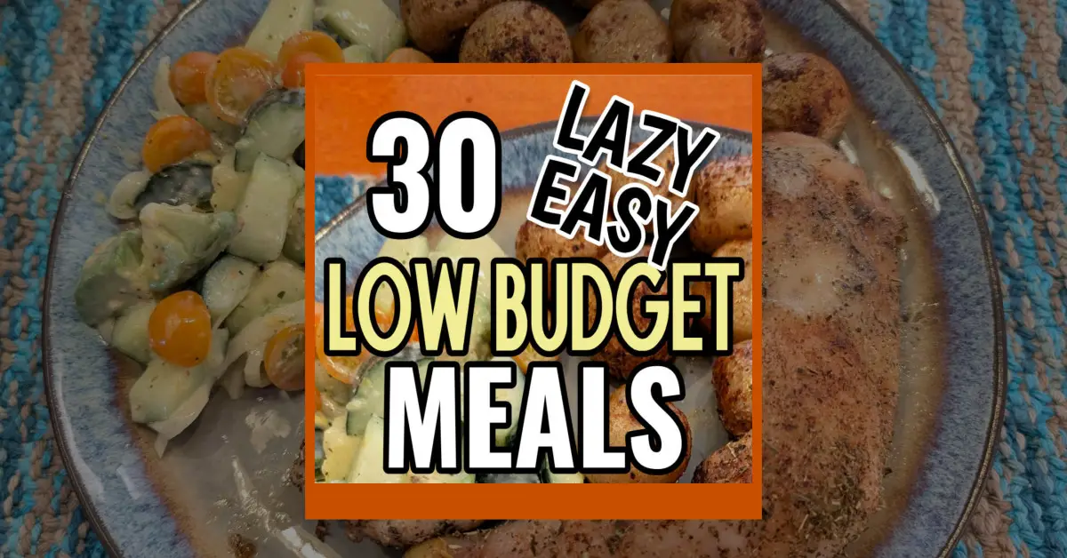 30 Low Budget Meals To Make This Month